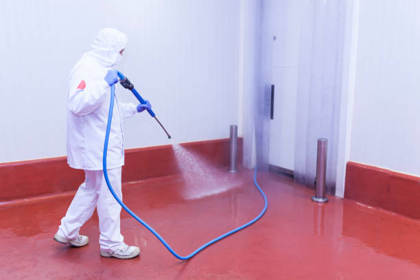 Professional Pressure Washing Services in Mitchellville, MD